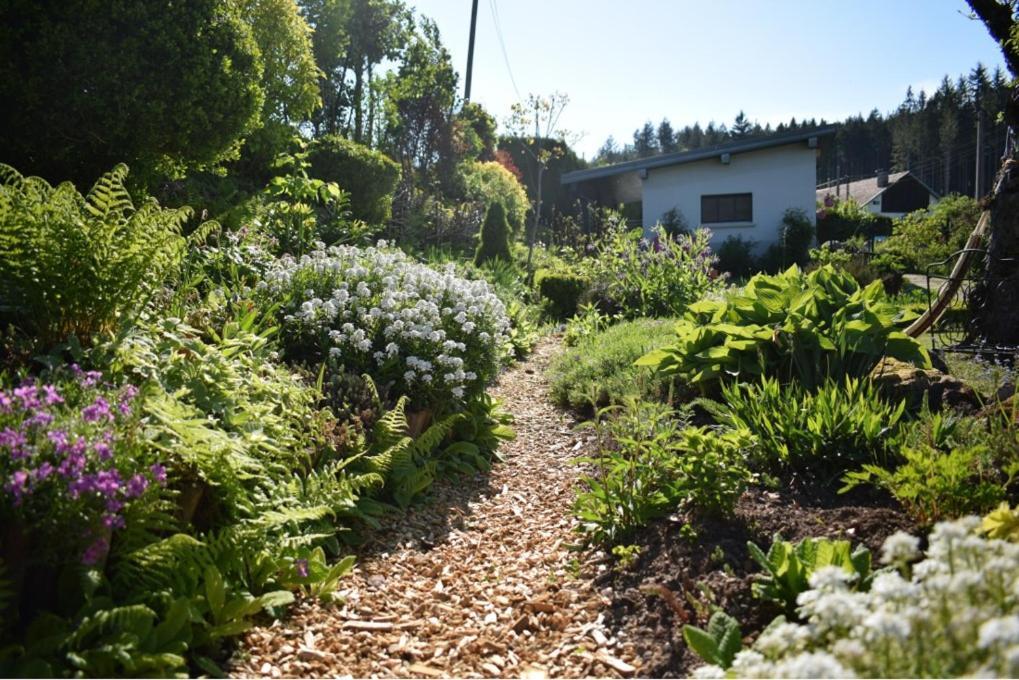 Chambres d'Hôtes L'Envol Vecoux Exterior foto